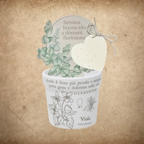 Wald Cachepot Viola